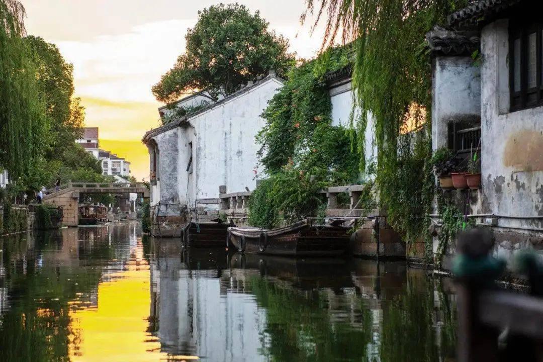 虫虫助手下载